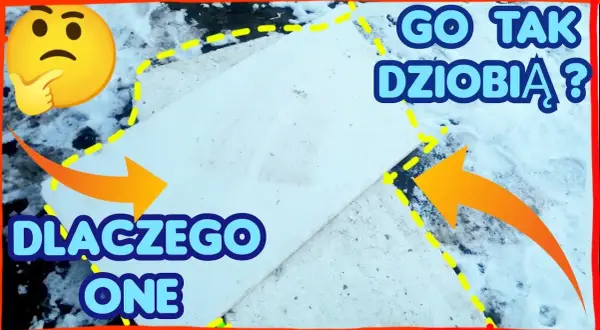 Dlaczego kury jedzą styropian? Odkryj niebezpieczeństwa i przyczyny